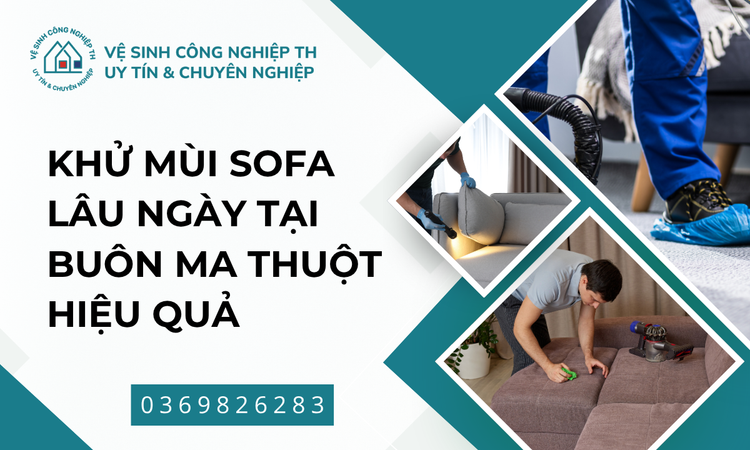 Hiểu Rõ Nguyên Nhân Gây Mùi Trên Sofa